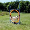 AGILITY JUMPING RING