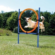 AGILITY JUMPING RING